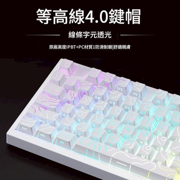 【開立發票 蝦皮隔日到貨】等高綫鍵帽 等高綫4.0 等高綫側刻漸變鍵帽 機械鍵盤鍵帽