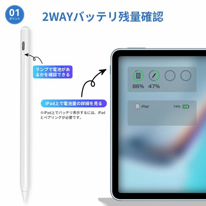 あいるさん専用 青山1/（i30）【ASN-001】静音 くつ丸洗い洗濯ネット