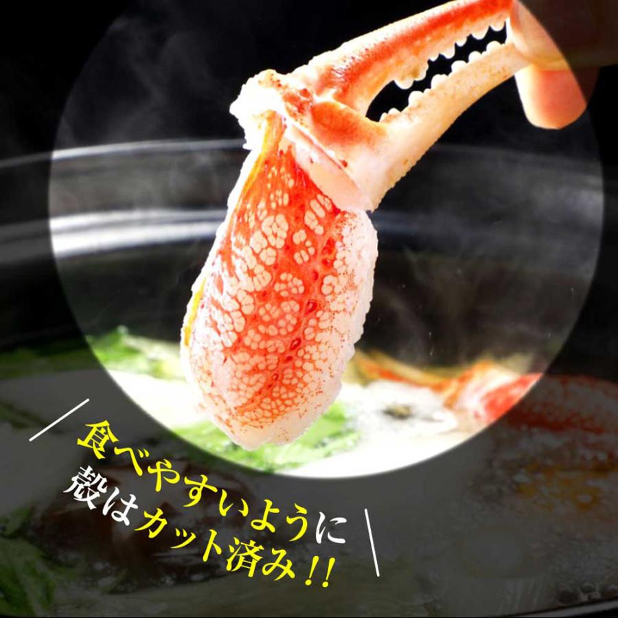 お刺身OK！ かに カニ 蟹 生 爪 肉 1kg ずわいがに ズワイガニ ずわい ズワイ ポーション