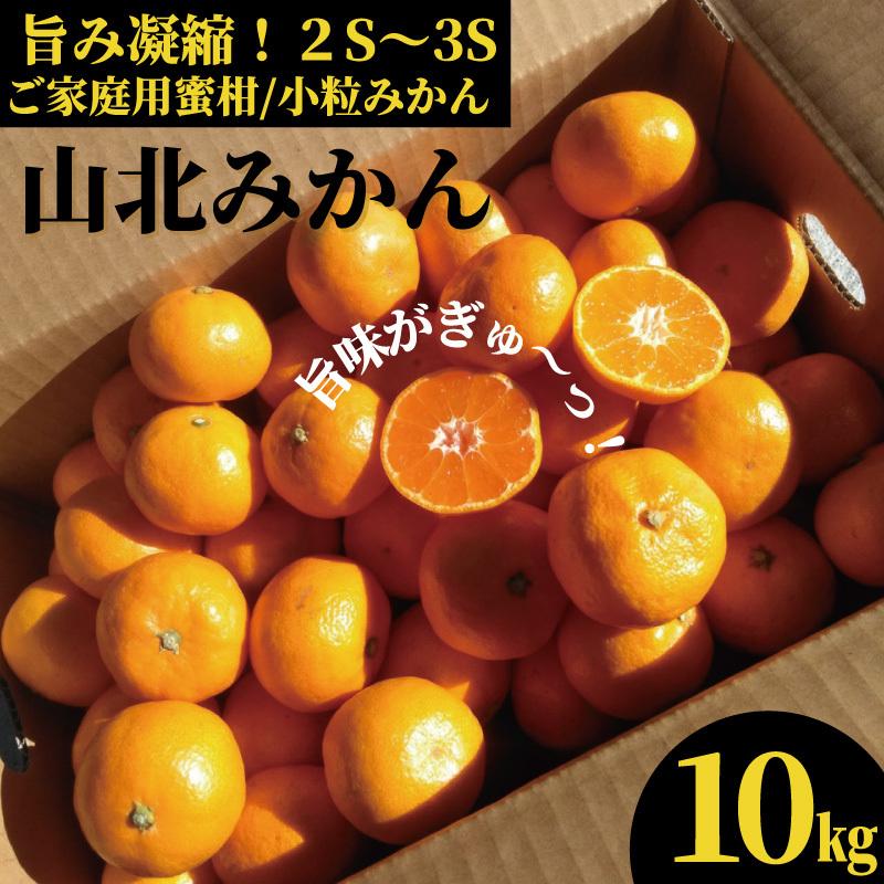 山北みかん2Sから3Sサイズ 10kg ご家庭用 小粒みかん 高知産