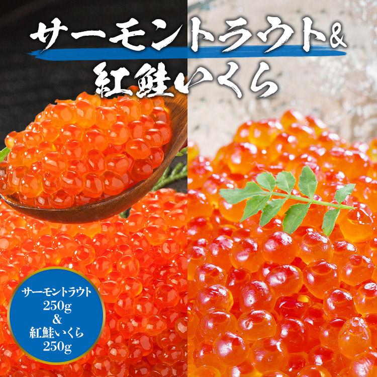 いくら 醤油漬け サーモントラウト 紅鮭 食べ比べ 250g×2 丼 軍艦 手巻き寿司 ちらし寿司 送料無料 冷凍便 ギフト お中元 お取り寄せグルメ 食品