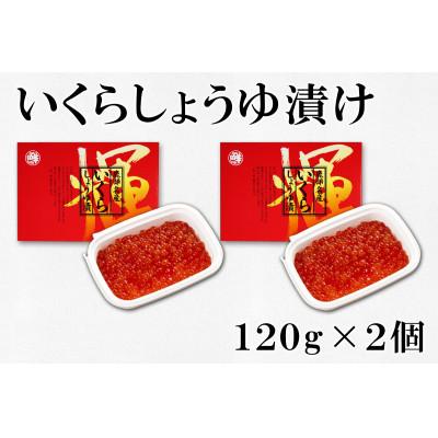 ふるさと納税 鹿部町 北のハイグレード食品認定 無着色たらこといくらしょうゆ漬けセット(計480g) MC043-5