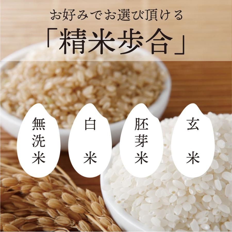 新米出荷開始！令和5年産 秋田県産 スノーパール  10kg(5kg×2袋) ★選べる精米★