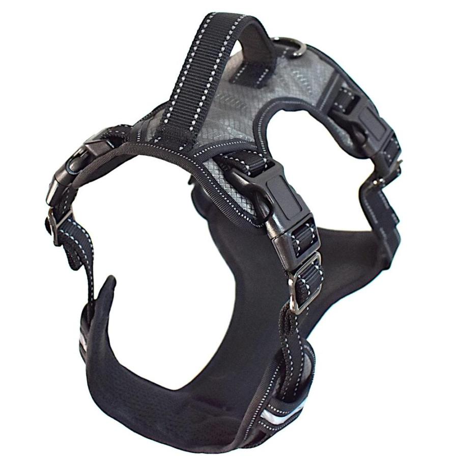 Max and 2024 neo dog harness