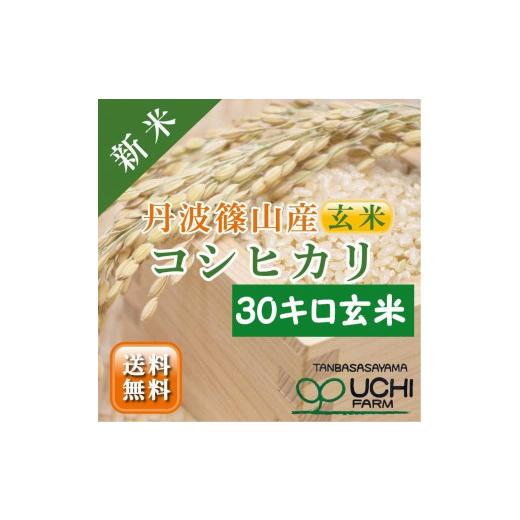 ふるさと納税 兵庫県 丹波篠山市 丹波篠山の大地で育まれたコシヒカリ　玄米30kg