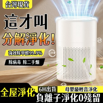 特價免運⚡空氣淨化器 家用車載除甲醛  負離子淨化器 臭氧機 清淨機 除甲醛 空氣淨化器 除煙味 空氣除臭機 寵物清淨機