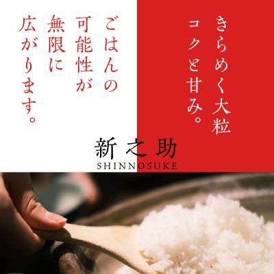 ふるさと納税 妙高市 2023年12月下旬より発送 新潟県上越・妙高産新之助 5kg(計30kg) 全6回