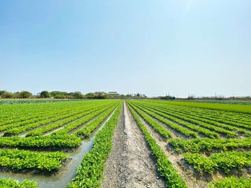 雲林北港低總價1分4方正農地｜雲林縣北港鎮草湖段