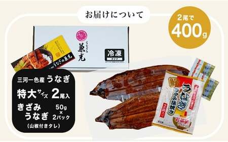 愛知県三河一色産うなぎ蒲焼き特大サイズ2尾 きざみうなぎ2食入りセット(長焼き2尾で400g  きざみうなぎ50g×2食)・U022-19