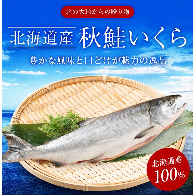 いくら 秋鮭 500g 醤油漬け 送料無料 北海道産 国産 イクラ 魚卵 海鮮 魚介 お取り寄せグルメ 高級 鮭 旨さに わけあり ギフト 年末 [冷凍]