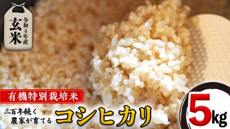 ＜ 新米 ・ 令和5年産 ＞ 三百年 続く 農家 の 有機特別栽培米 コシヒカリ 玄米 5kg 有機栽培 農創 米 こめ コメ ごはん 玄米 国産 茨城県産 おいしい