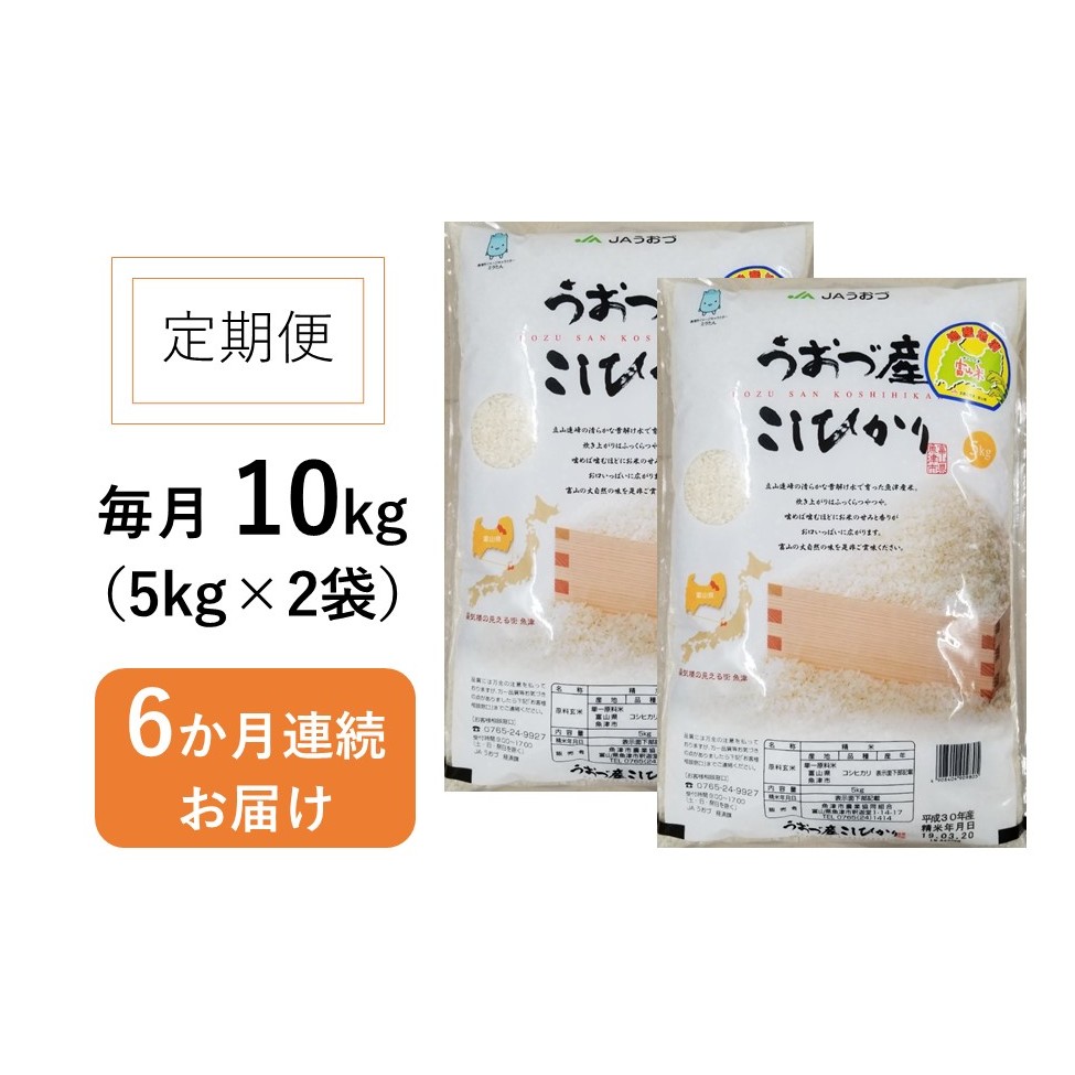 定期便 米 10kg (5kg×2袋) 6ヶ月 コシヒカリ 富山 魚津産 こめ コメ お米 おこめ 白米 精米 6回 お楽しみ