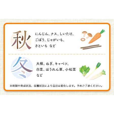 ふるさと納税  季節の野菜詰め合わせセット 8〜10品目 《お申込み月の翌月から出荷開始》ゆめ・ステーション・このは 旬の野菜 .. 熊本県玉東町