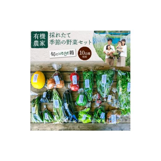 ふるさと納税 埼玉県 伊奈町 有機農家の採れたて季節野菜のセット