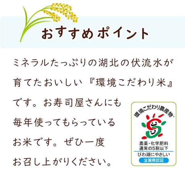 令和５年 滋賀県湖北産 早見さんのコシヒカリ 20kg 