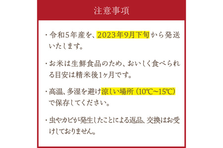 直売所直送「令和5年産 京丹後市産 コシヒカリ」 精米5kg