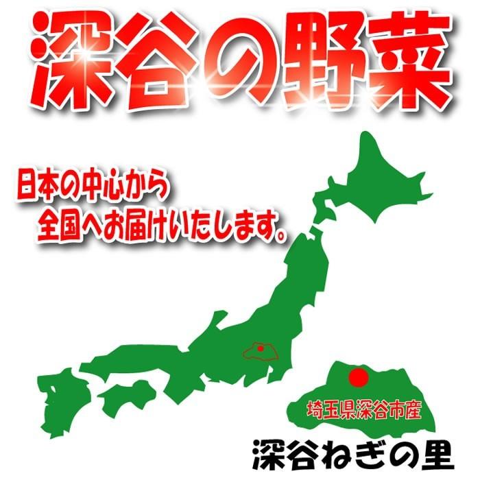 新鮮野菜セット 8〜10品目（深谷ねぎなし）