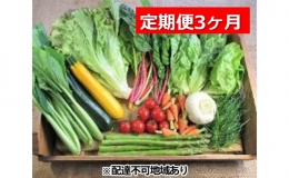 旬の野菜・定期便（3か月）