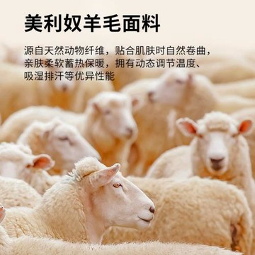 灰殼100%美利奴羊毛速干內褲女高腰抗菌運動干爽戶外美麗諾三角褲