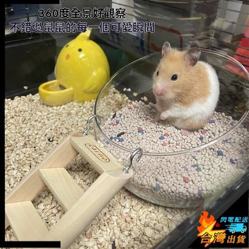 【台灣出貨】倉鼠廁所 倉鼠窩 小寵窩 倉鼠便盆 倉鼠籠配件 玻璃透明浴室 倉鼠洗澡房 金絲熊尿砂盆 防咬防翻籠子造景用品