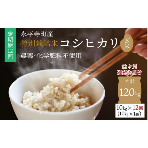 ふるさと納税 福井県 永平寺町  令和5年度産 永平寺町産 農薬不使用・化学肥料不使用 特別栽培米 コシヒカリ 10kg×12ヶ…