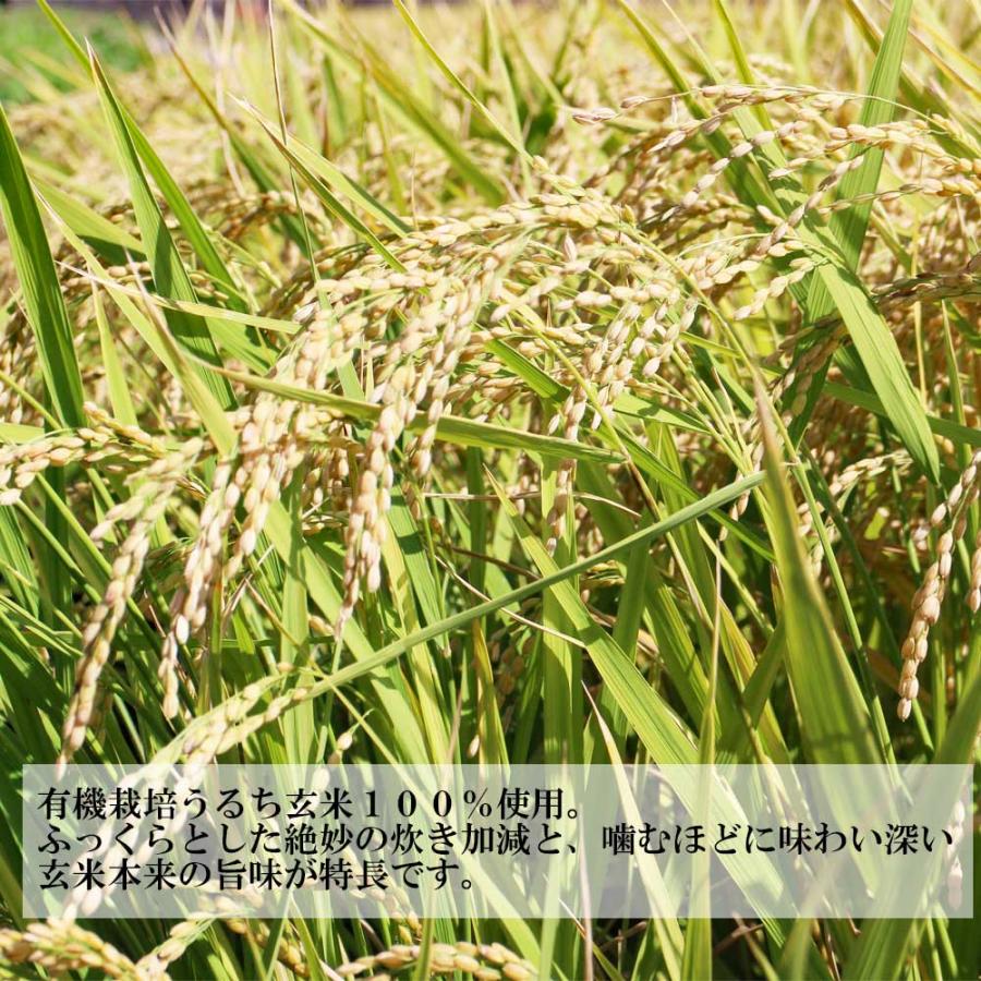 有機玄米小豆ごはん　160g［コジマフーズ]　有機栽培うるち玄米100％　オーガニック