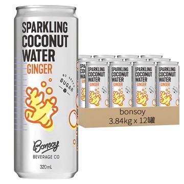 bonsoy 氣泡薑汁椰子水  3.84kg  12罐