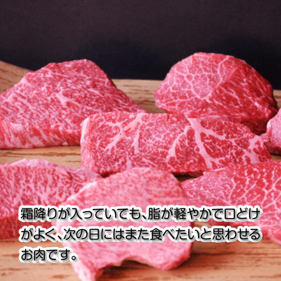 牛肉 焼肉 国産 上ロース 特上カルビ 希少部位の焼肉セット 焼肉 600g 鉄板焼き BQQ バーベキュー 鳥取県産 ギフト