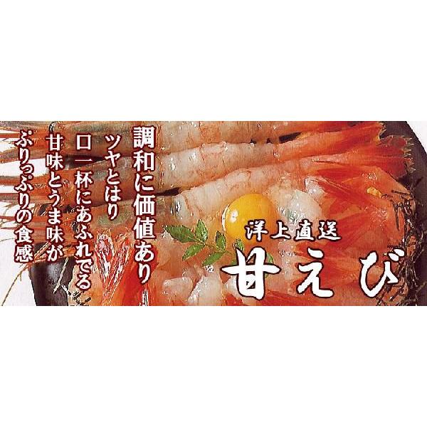 するめいか 2杯 日本海直送＋甘エビ １５０ｇ セット 船上急速冷凍で鮮度抜群 生お刺身用に 新鮮冷凍スルメイカ甘えびセット 通販