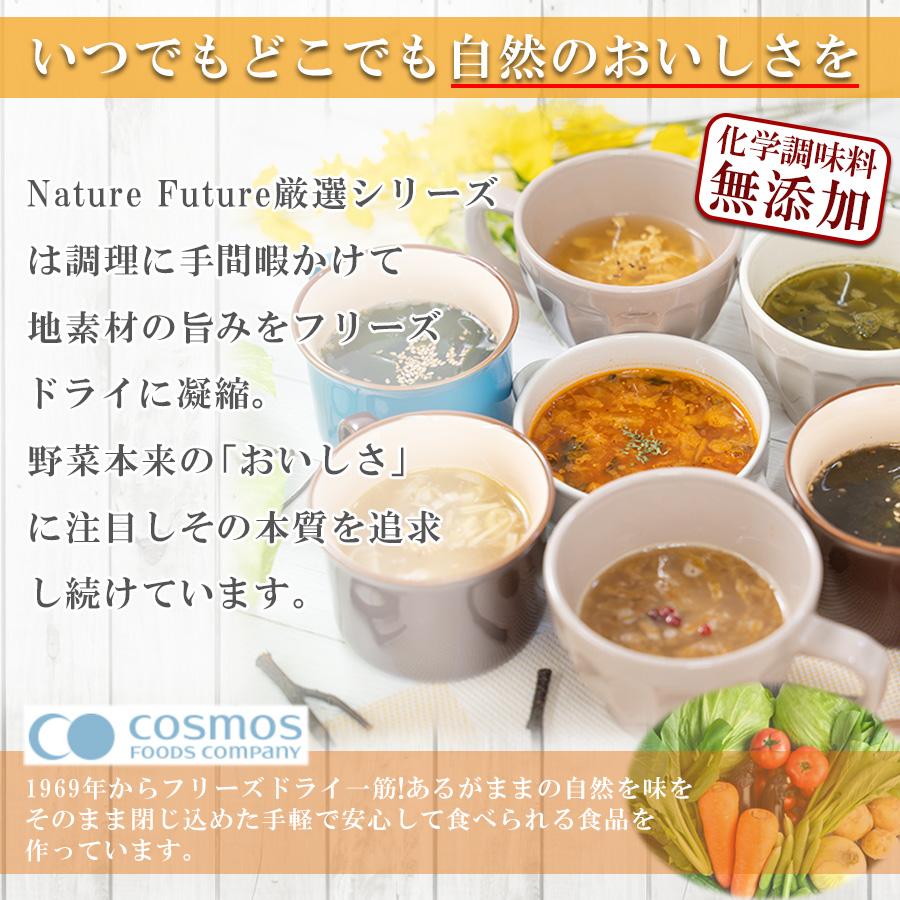 フリーズドライスープ Naturre Future 厳選素材スープ 7種21食 詰め合わせセット 化学調味料無添加 コスモス食品 インスタント 即席 ギフト