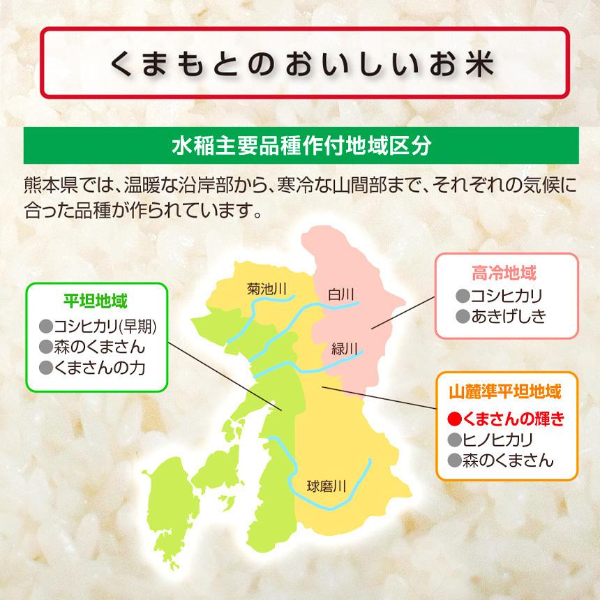 熊本県産 くまさんの輝き 3kg お米 精米 白米 300ｇ×5袋×2箱  3000g 国産