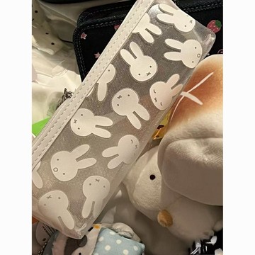 臺灣🎀筆袋 收納筆袋 筆日系可愛米菲紗網大容量ins透明學生筆袋卡通小兔筆袋文具收納盒