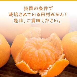 ふるさと納税 AB7069_絶品！ 田村みかん 10kg (S・M・Lサイズのいずれか) 和歌山県湯浅町