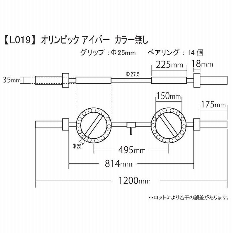 ワイルドフィット オリンピック アイバー カラー無し / 筋トレ