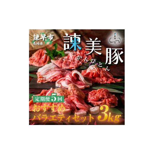 ふるさと納税 長崎県 諫早市 『定期便』_諫美豚(かんびとん)おすすめバラエティセット3kg_全5回