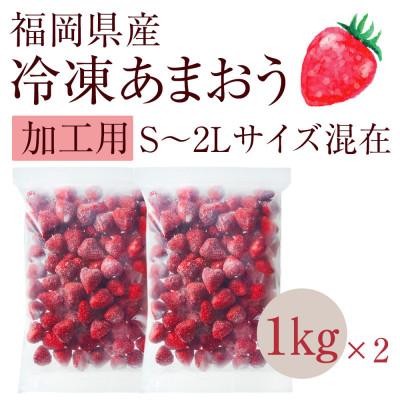 ふるさと納税 筑後市 冷凍いちご「博多あまおう」1kg×2セット(筑後市)