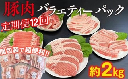 ＜定期便・全12回 (連続)＞豚肉 バラエティーパック (総量24kg・4種) 小分け 豚バラ スライス とんかつ ロース 豚こま しゃぶしゃぶ 鍋 大分県 佐伯市