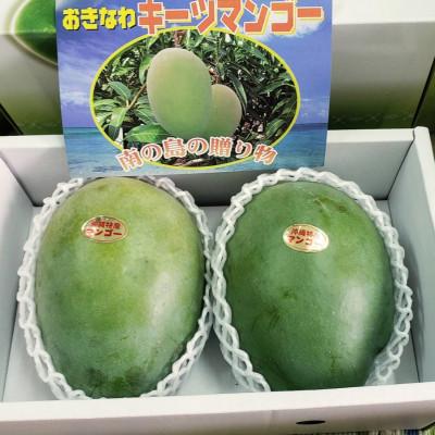 ふるさと納税 南城市 キーツマンゴー贈答用1〜2玉(1.0kg)