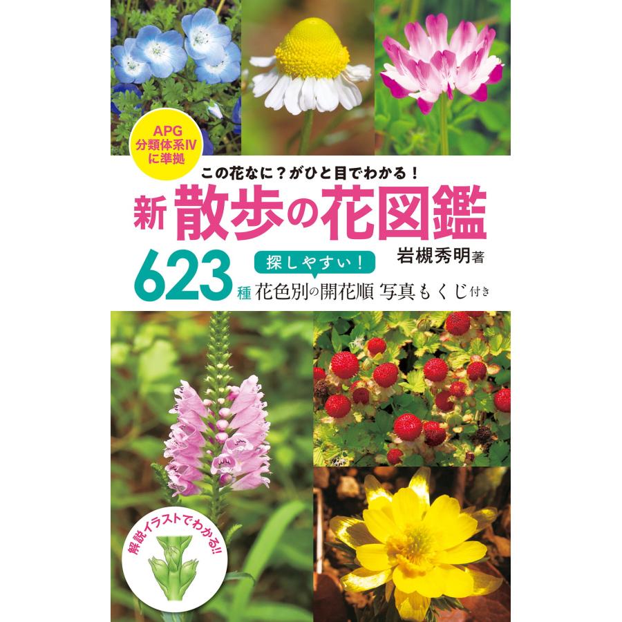 この花なに がひと目でわかる 新 散歩の花図鑑 APG分類体系 に準拠