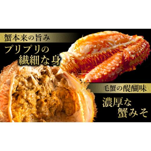 ふるさと納税 北海道 登別市 北海道登別産 旬の毛蟹500g前後×1杯