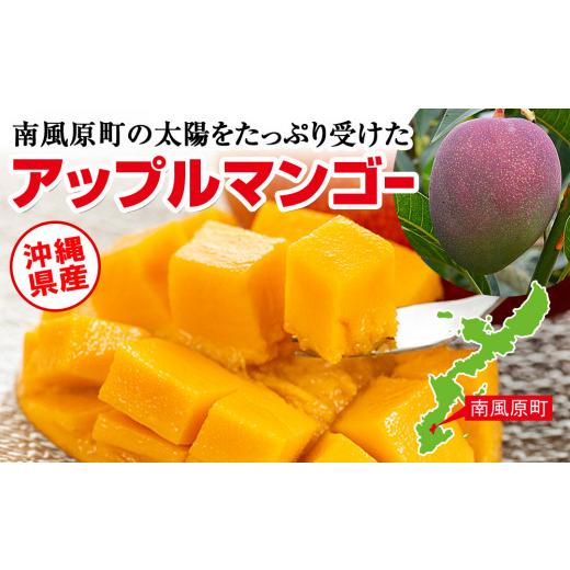 ふるさと納税 沖縄県 南風原町 直売所で厳選　沖縄県産「完熟マンゴー」2kg