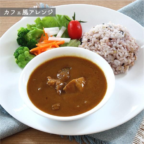 レトルト レトルトカレー レトルト食品 常温保存　元気豚カレー（個食レトルト） 200g×2パック