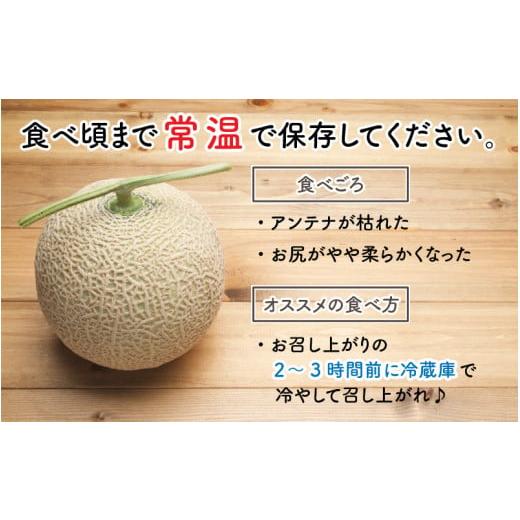 ふるさと納税 福井県 坂井市 太陽サンサン砂丘地 三里浜のアールスメロン5玉（1玉あたり約1.7〜2.0kg） [B-830…