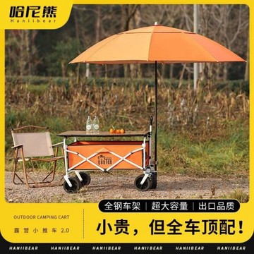 露營推車可折疊戶外手推野餐車便攜營地拖車拉桿多功能野營擺攤車