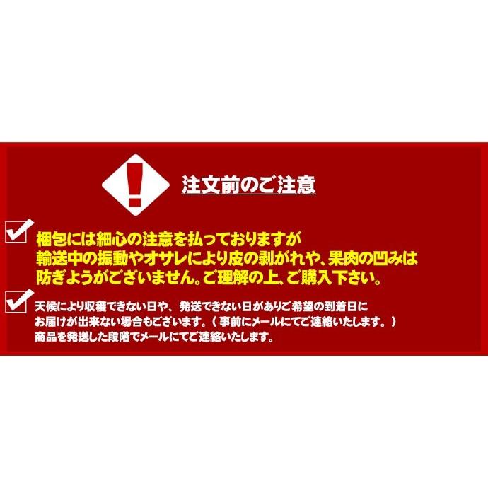 りんご 訳あり 福袋 5kg 青森もしくは北海道産 リンゴ 送料無料沖縄は送料別途加算 御歳暮 クリスマス 正月