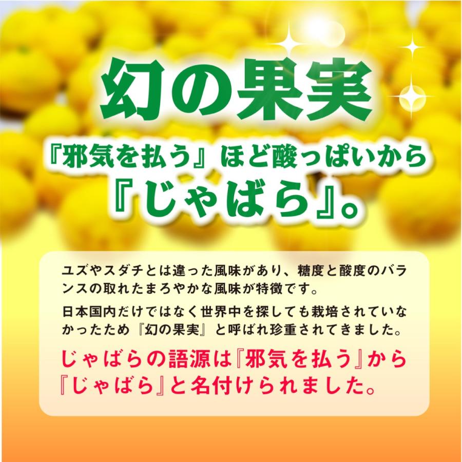 送料無料　花粉症対策　和歌山県産　じゃばら果皮粉末　スティック　(2g×12包)　×2袋セット