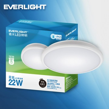 億光  led 星庭 22w 全電壓 ip65 吸頂燈(白光)