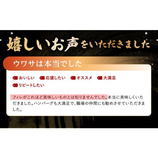 ふるさと納税 長崎県 波佐見町 A5ランク ヒレステーキ サイコロステーキ ハンバーグ 総量2.66kg 2660g セット [NA59]