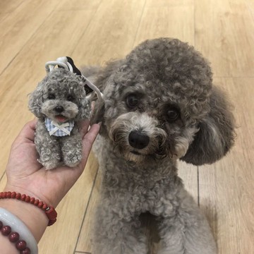 【來圖定製】可愛小狗扭扭棒手工送女朋友閨蜜情侶包包鑰匙掛件