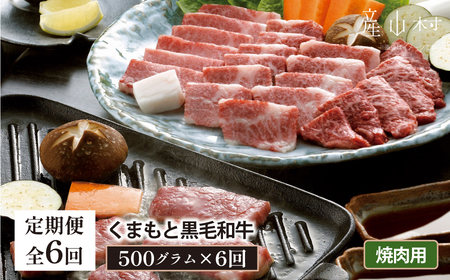 くまもと黒毛和牛　焼肉用　500ｇ